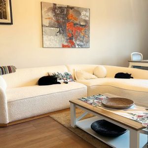 Corner-Sofa-Set-2